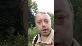 А вы знали как выглядит растение валерьянка? Вот так.