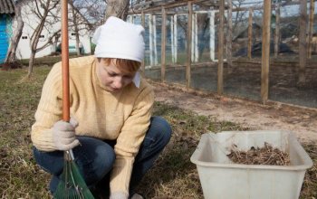 Что нужно сделать весной в саду и огороде