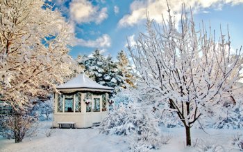 Лунный календарь огородника на декабрь 2018