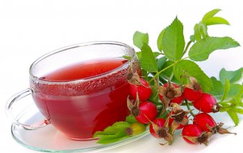 Лечебные свойства плодов, корней и цветов шиповника