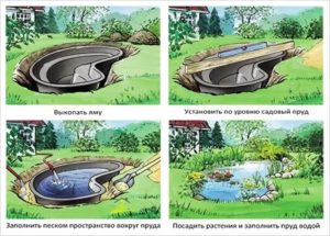 четыре шага сделать пруд на даче